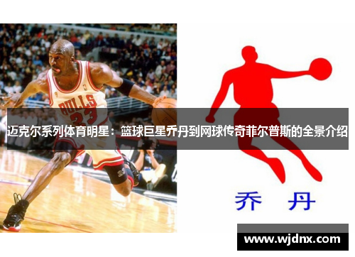 迈克尔系列体育明星：篮球巨星乔丹到网球传奇菲尔普斯的全景介绍